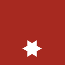 Dienstgradabzeichen Feuerwehrmann (FM)