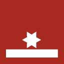 Dienstgradabzeichen Löschmeister (LM)