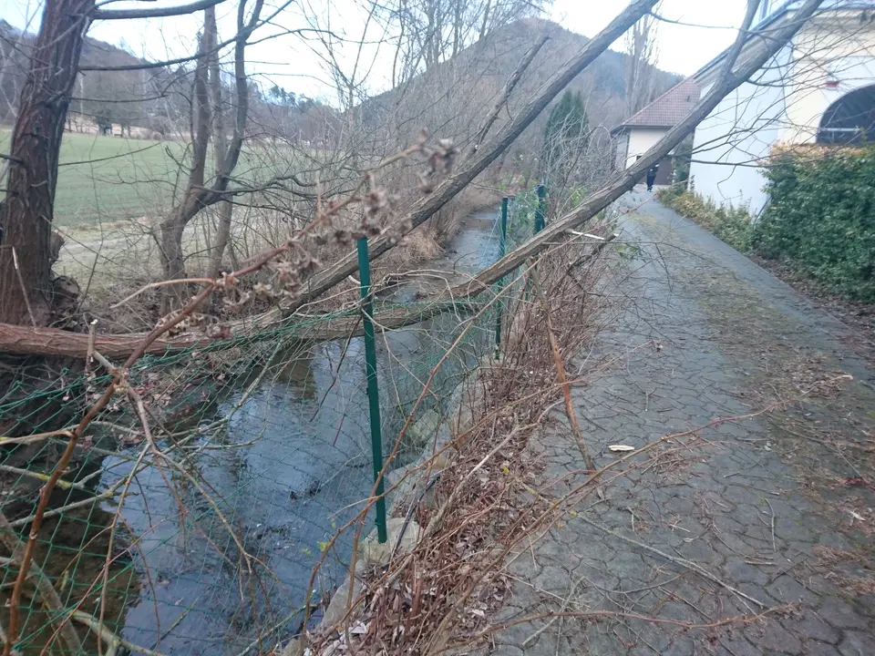 Sturmschaden – Foto 1 von 4