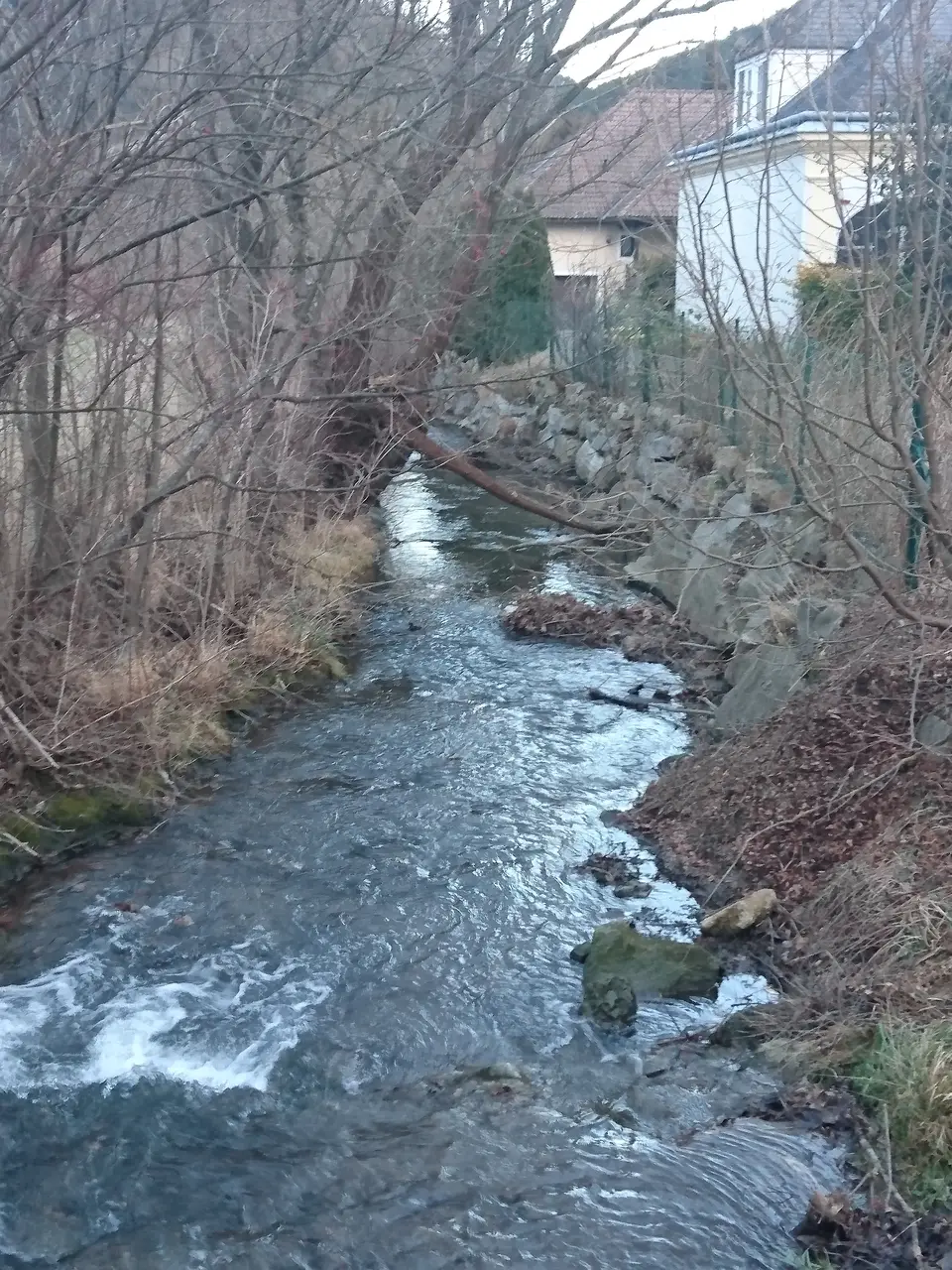 Sturmschaden – Foto 4 von 4