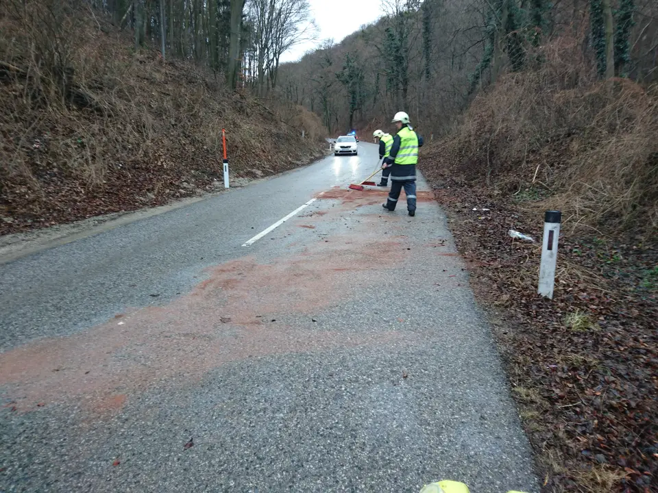 PKW am Dach – Foto 8 von 10