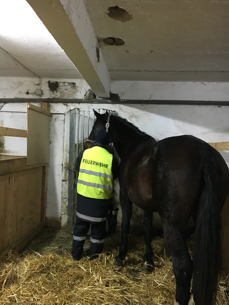 Monatsübung im Reitstall Gaaden – Foto 4 von 5