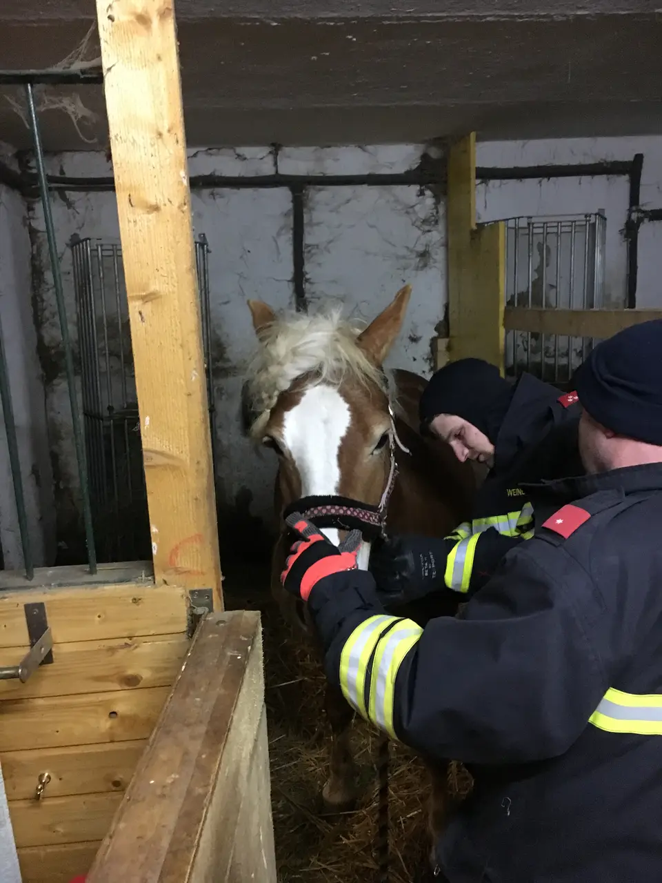 Monatsübung im Reitstall Gaaden – Foto 3 von 5