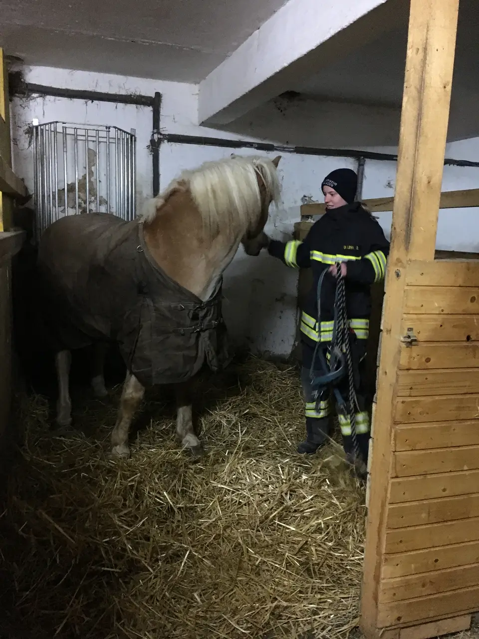 Monatsübung im Reitstall Gaaden – Foto 2 von 5