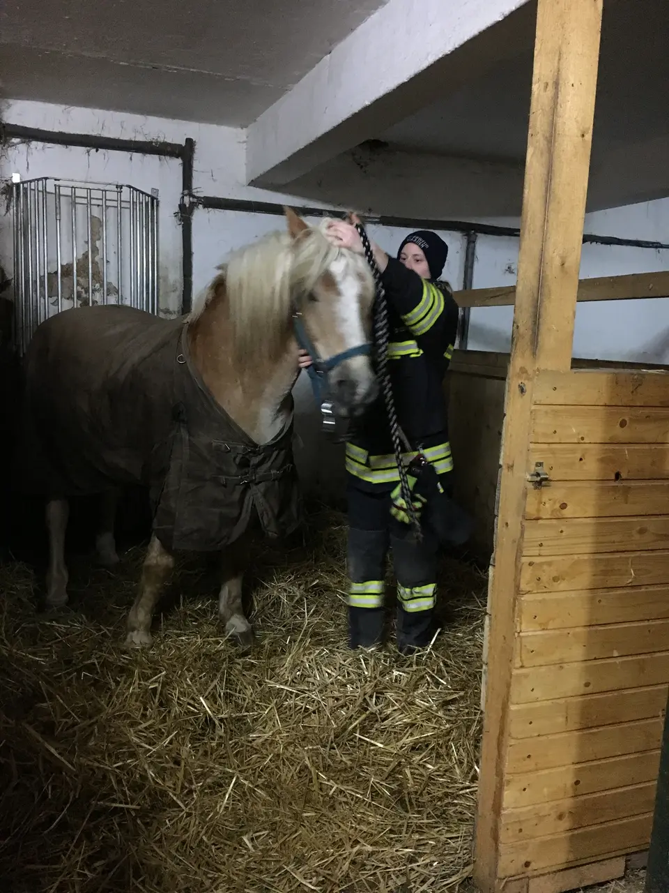 Monatsübung im Reitstall Gaaden – Foto 1 von 5