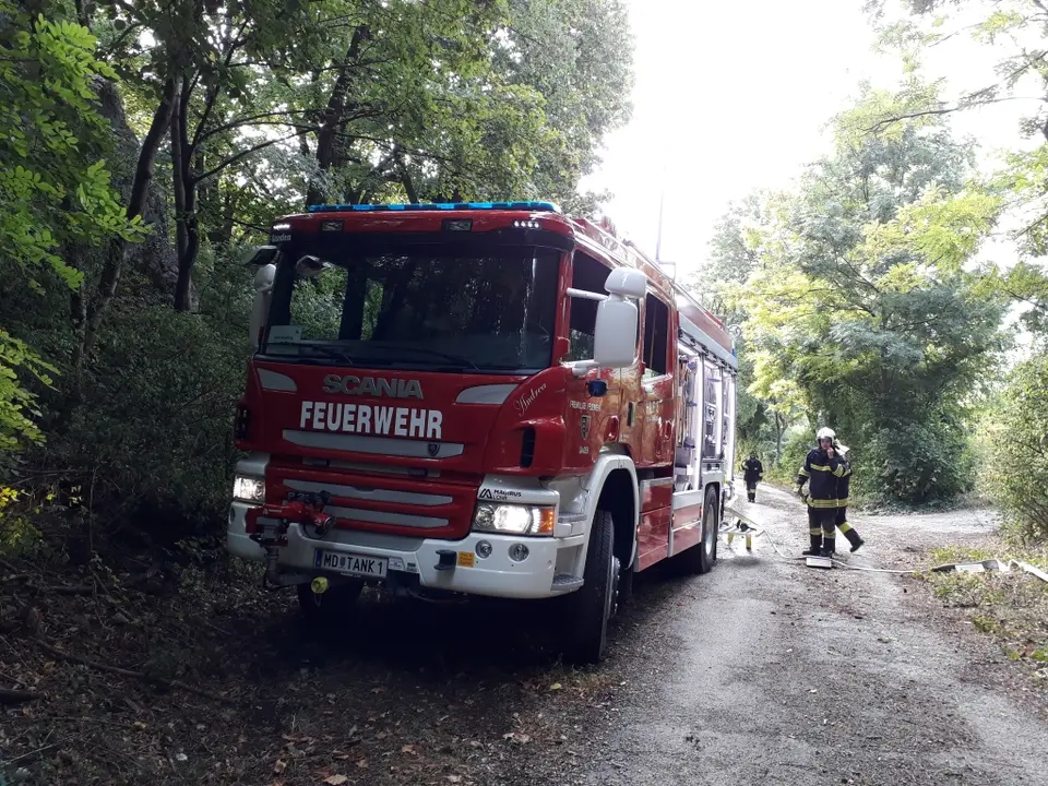 Übung des Katastrophenhilfsdienstes – Foto 1 von 5