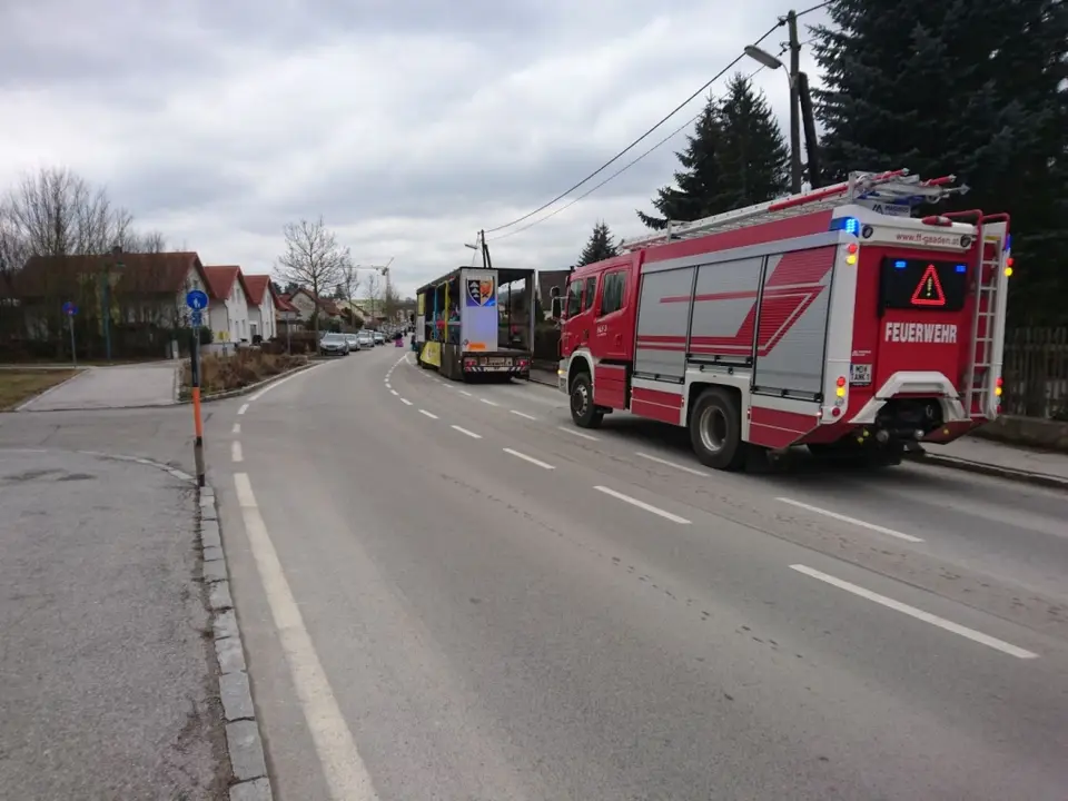 Faschingsumzug – Foto 6 von 6
