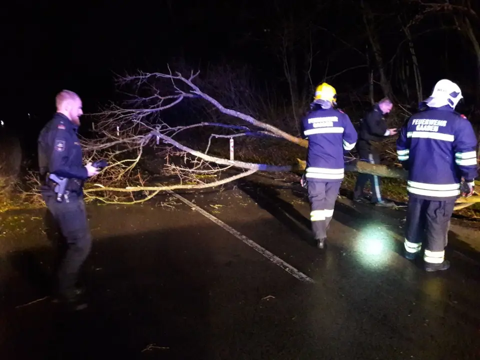 Verkehrsunfall mit Fahrerflucht – Foto 3 von 10