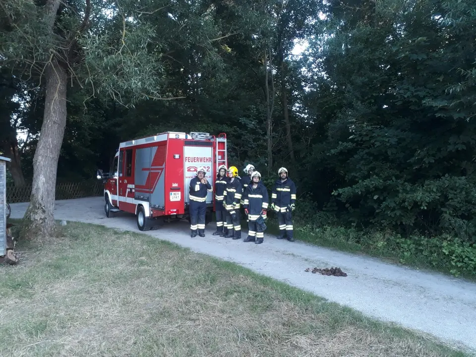 Einsatzübung Vegetationsbrand – Foto 1 von 6