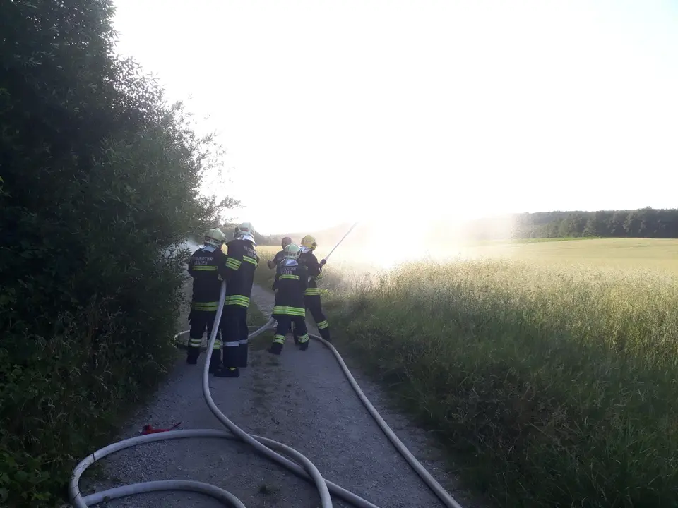 Einsatzübung Vegetationsbrand – Foto 6 von 6