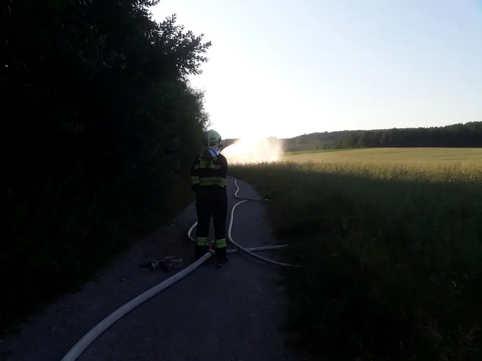 Einsatzübung Vegetationsbrand – Foto 4 von 6
