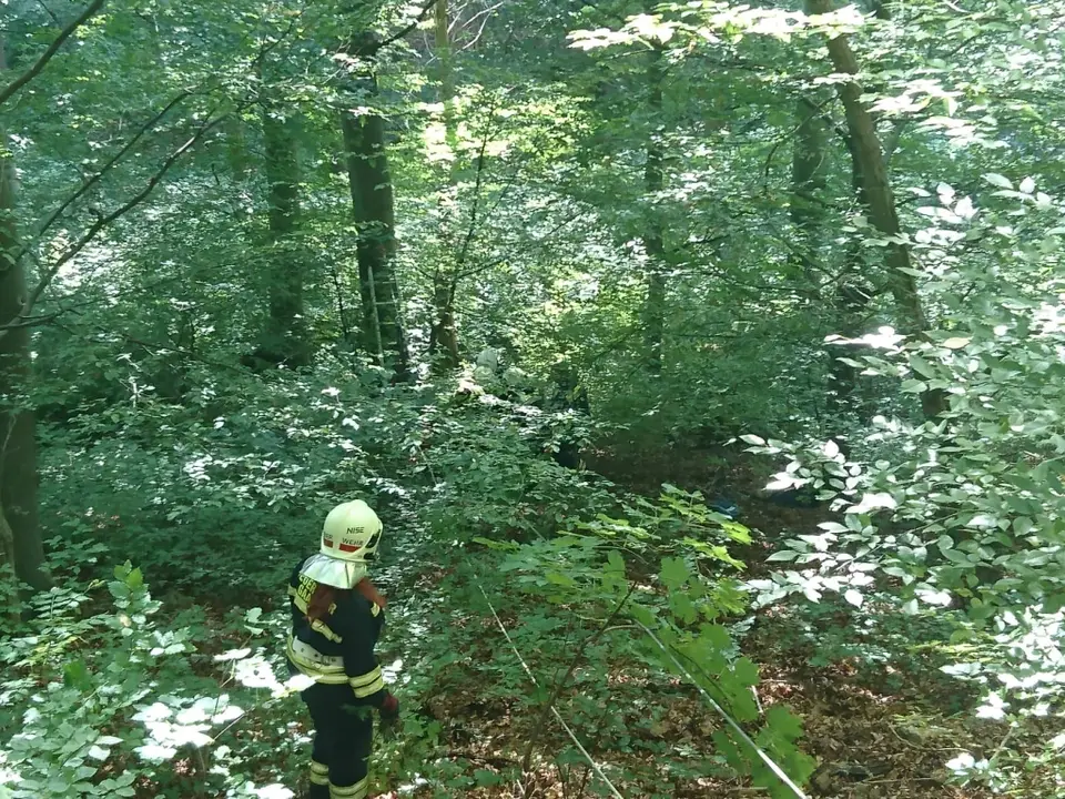 Übung Menschenrettung mittels Seilbahn – Foto 3 von 7
