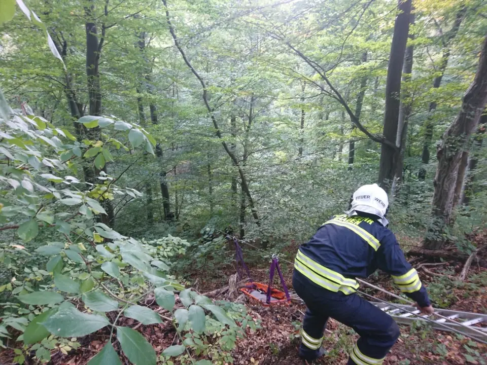 Übung Menschenrettung mittels Seilbahn – Foto 6 von 7