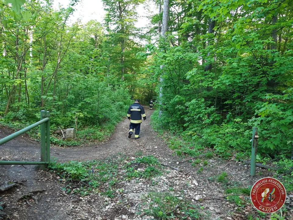 Kuriose PKW-Bergung am Anninger – Foto 2 von 3