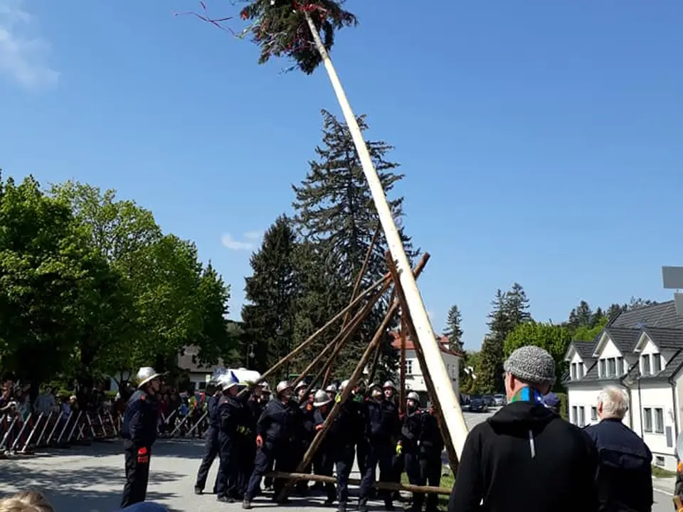Maibaumaufstellen – Foto 5 von 6