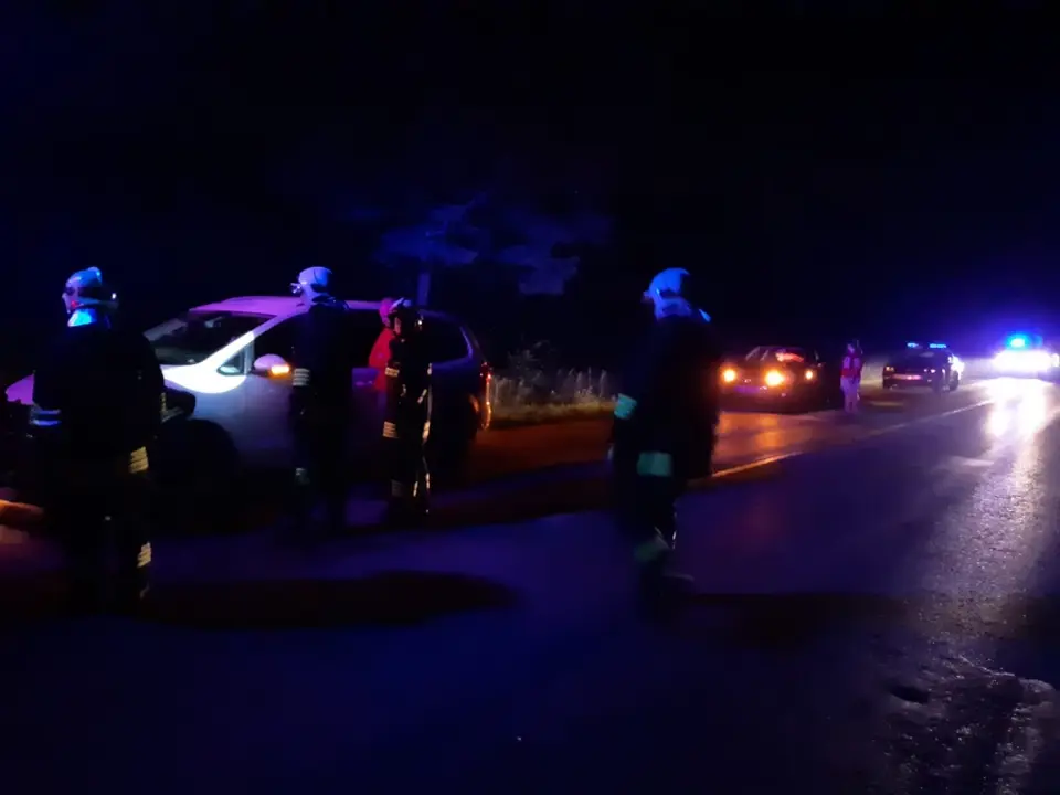 Wildunfall B11 – Foto 2 von 3