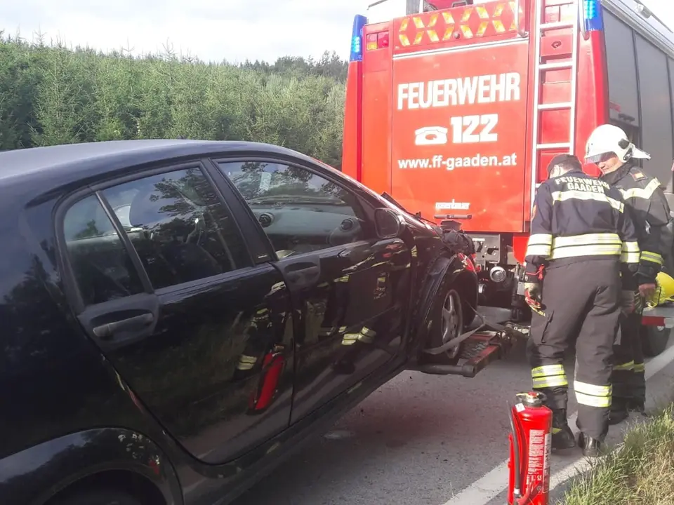 Wildunfall auf der B11 – Foto 3 von 4
