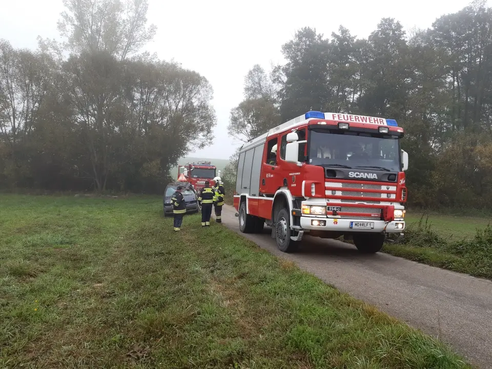 Übung mit Rettungshunden – Foto 1 von 12