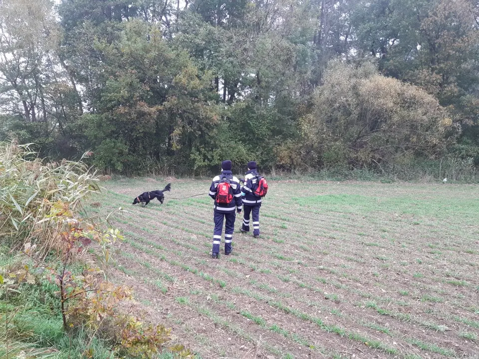 Übung mit Rettungshunden – Foto 4 von 12