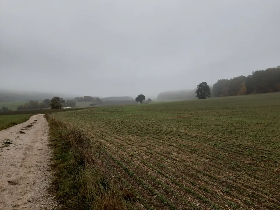 Übung mit Rettungshunden – Foto 7 von 12