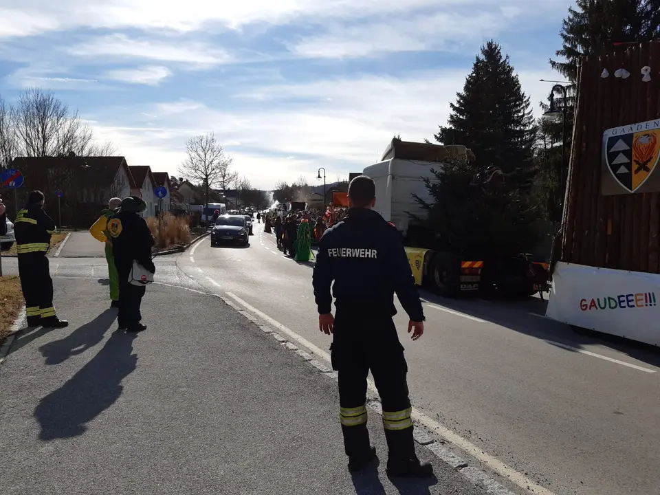 Faschingsumzug – Foto 1 von 2