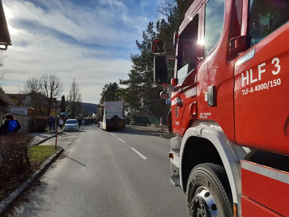 Faschingsumzug – Foto 2 von 2
