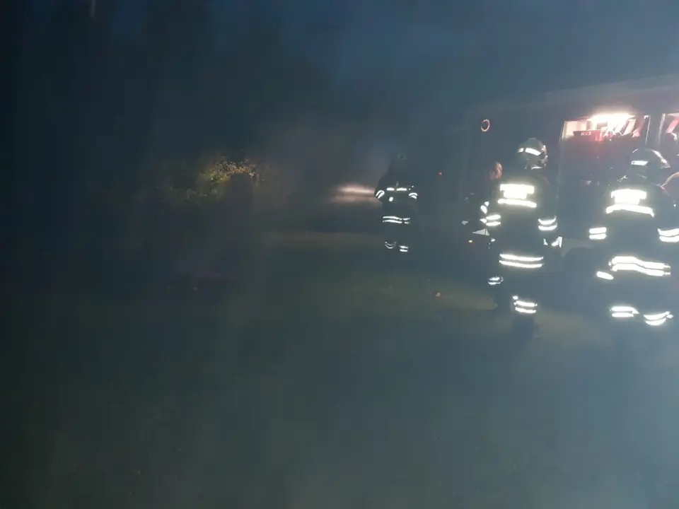 Lagerfeuer am Waldrand abgelöscht – Foto 2 von 3