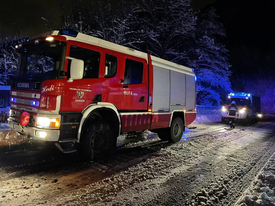 Baum über Straße – Foto 3 von 3