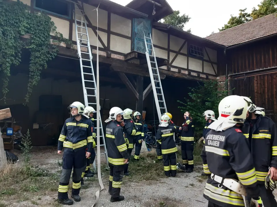 Übung Arbeiten mit Leitern – Foto 3 von 4