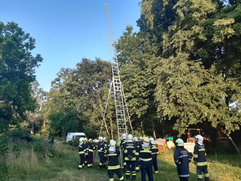 Übung Arbeiten mit Leitern – Foto 2 von 4