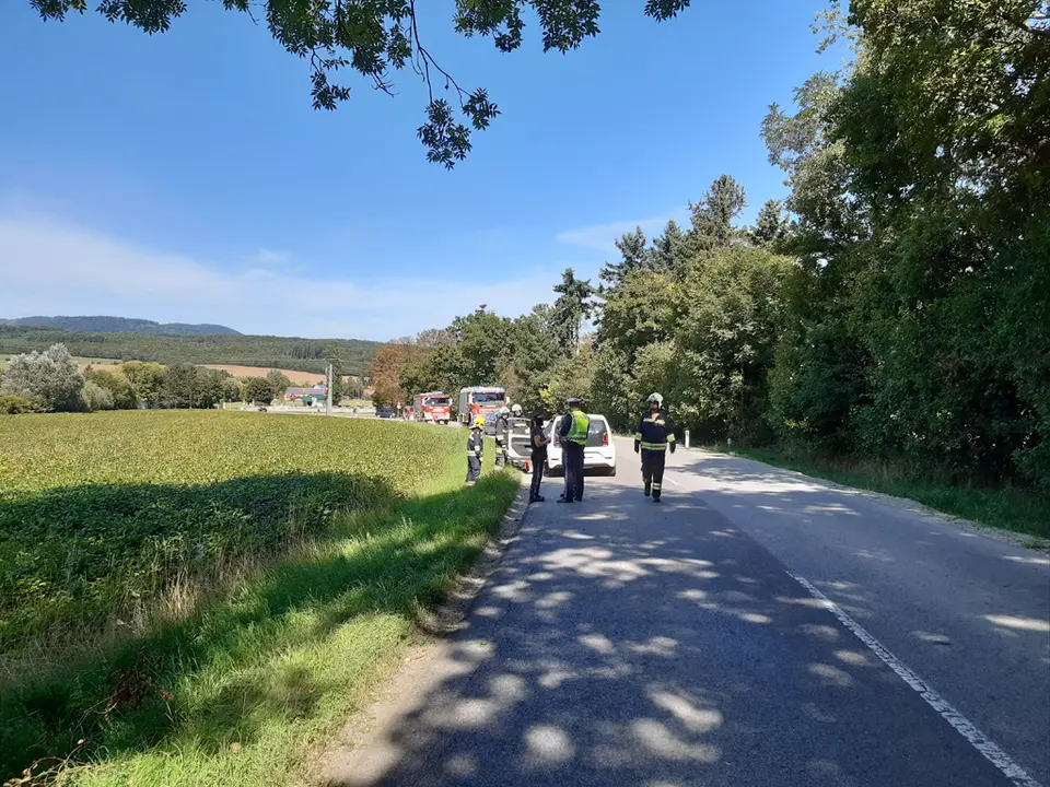 PKW gegen Baum – Foto 2 von 2