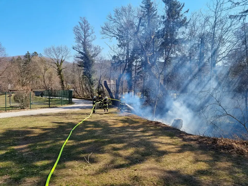 Brand eines Baumstammes – Foto 2 von 6
