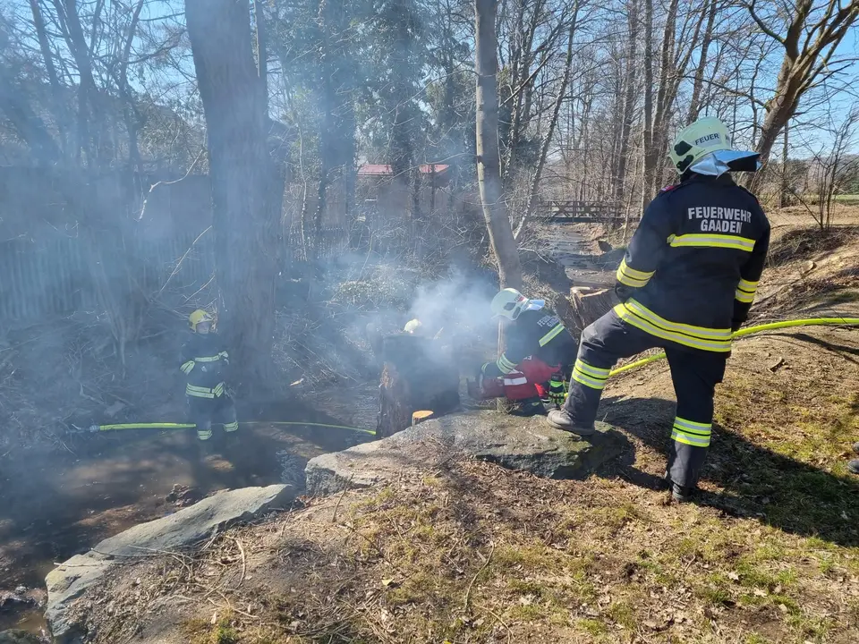 Brand eines Baumstammes – Foto 3 von 6