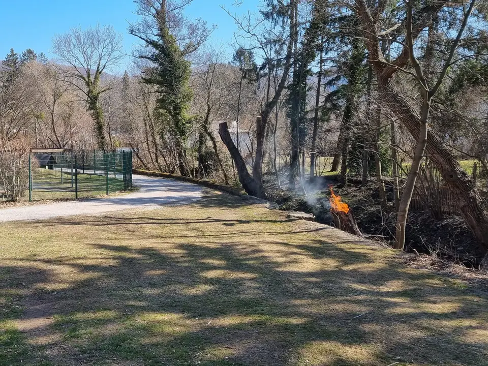 Brand eines Baumstammes – Foto 1 von 6