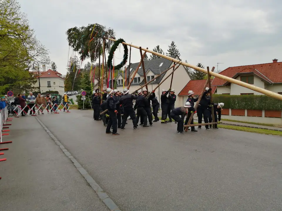 Maibaumaufstellen – Foto 2 von 4