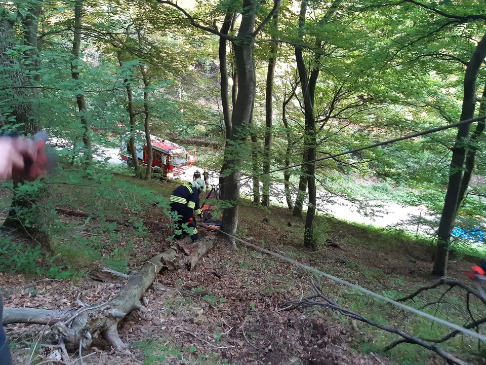Übung Forstunfall – Foto 1 von 4