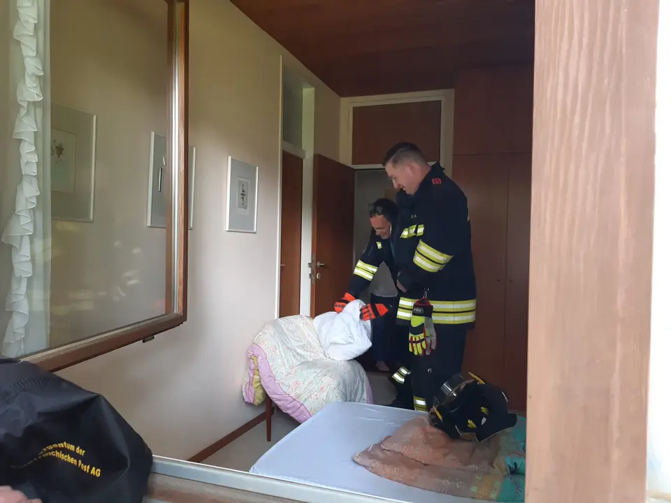 Schlange in Schlafzimmer – Foto 2 von 3