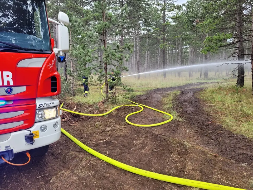 Unterstützung bei Waldbrand in Großmittel – Foto 2 von 4