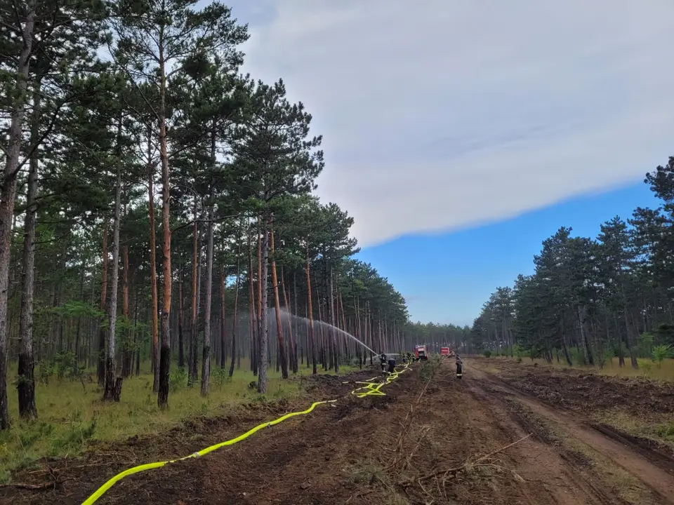 Unterstützung bei Waldbrand in Großmittel – Foto 1 von 4