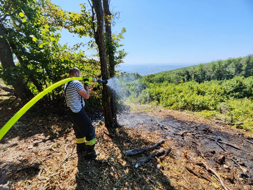 Großflächiger Waldbrand verhindert – Foto 3 von 8