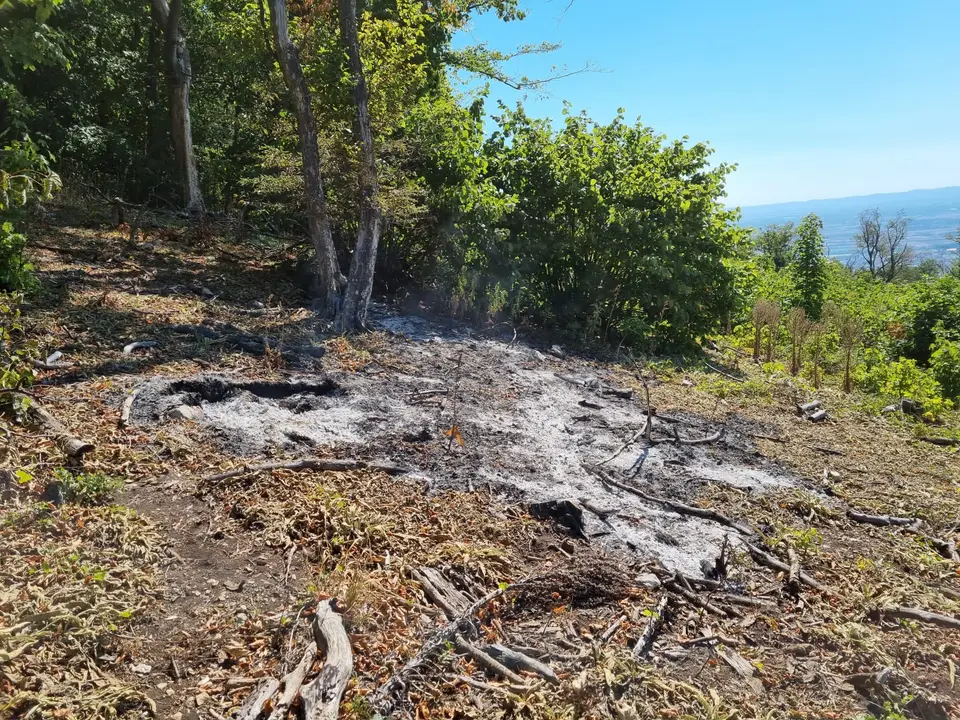 Großflächiger Waldbrand verhindert – Foto 5 von 8