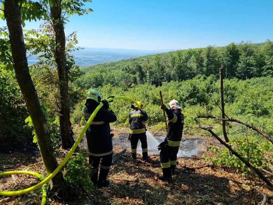 Großflächiger Waldbrand verhindert – Foto 1 von 8