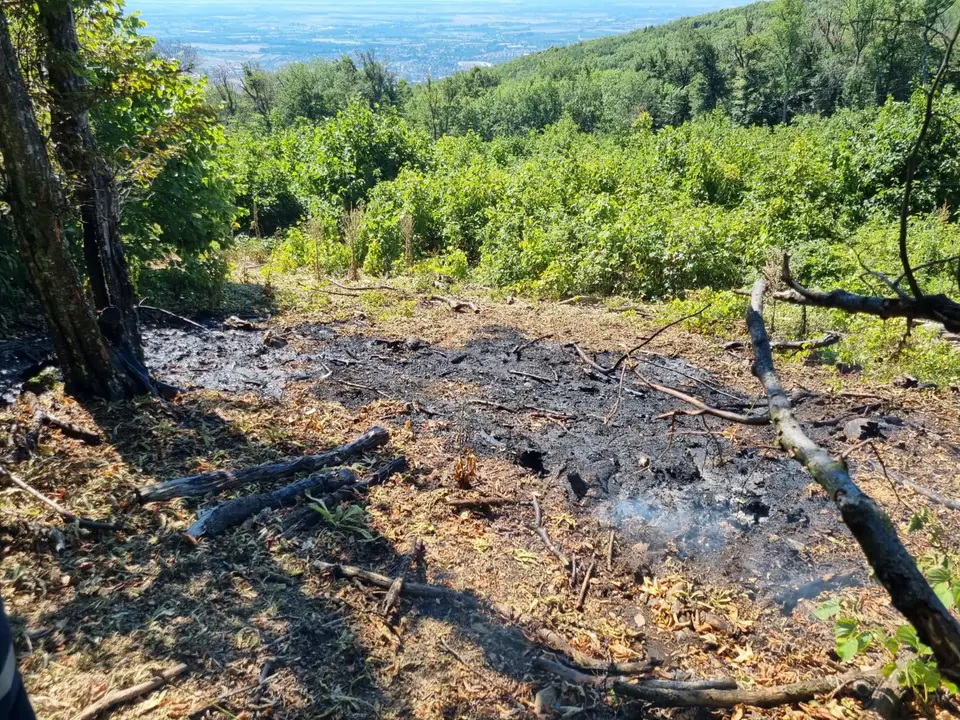 Großflächiger Waldbrand verhindert – Foto 6 von 8