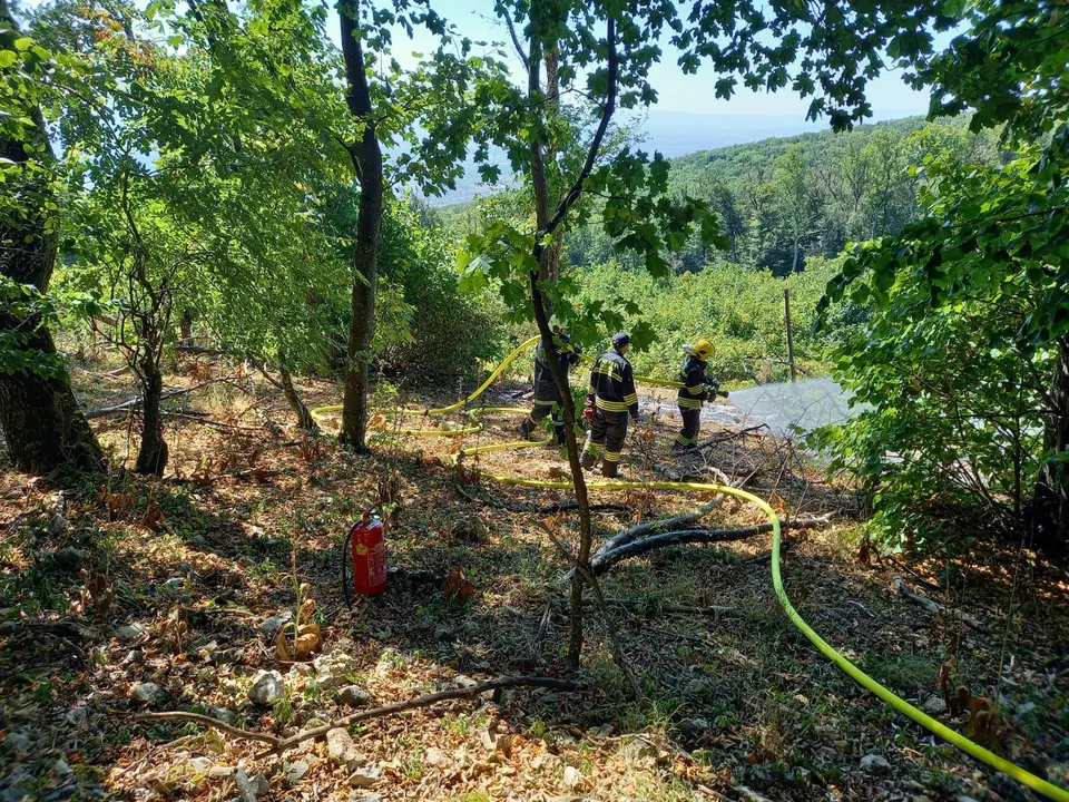 Großflächiger Waldbrand verhindert – Foto 2 von 8