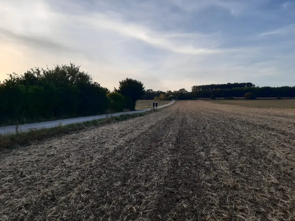 Übung Löschwasserförderung – Foto 2 von 4