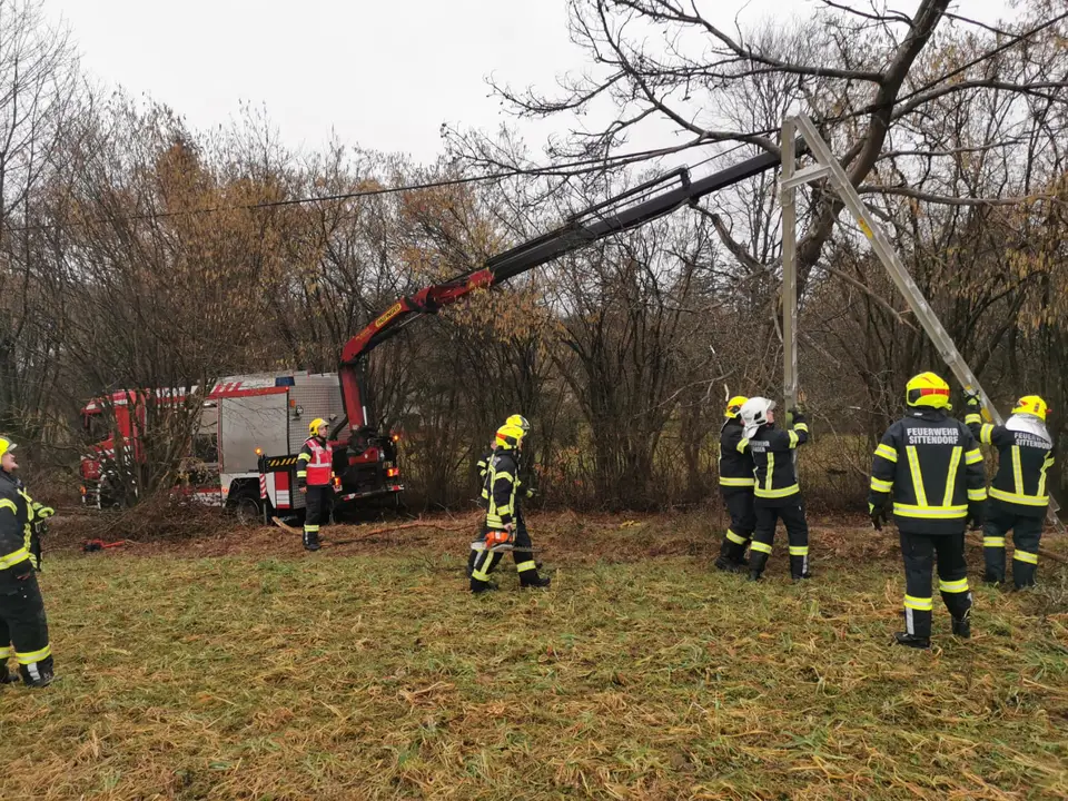 Baum auf Stromleitung gestürzt – Foto 2 von 3