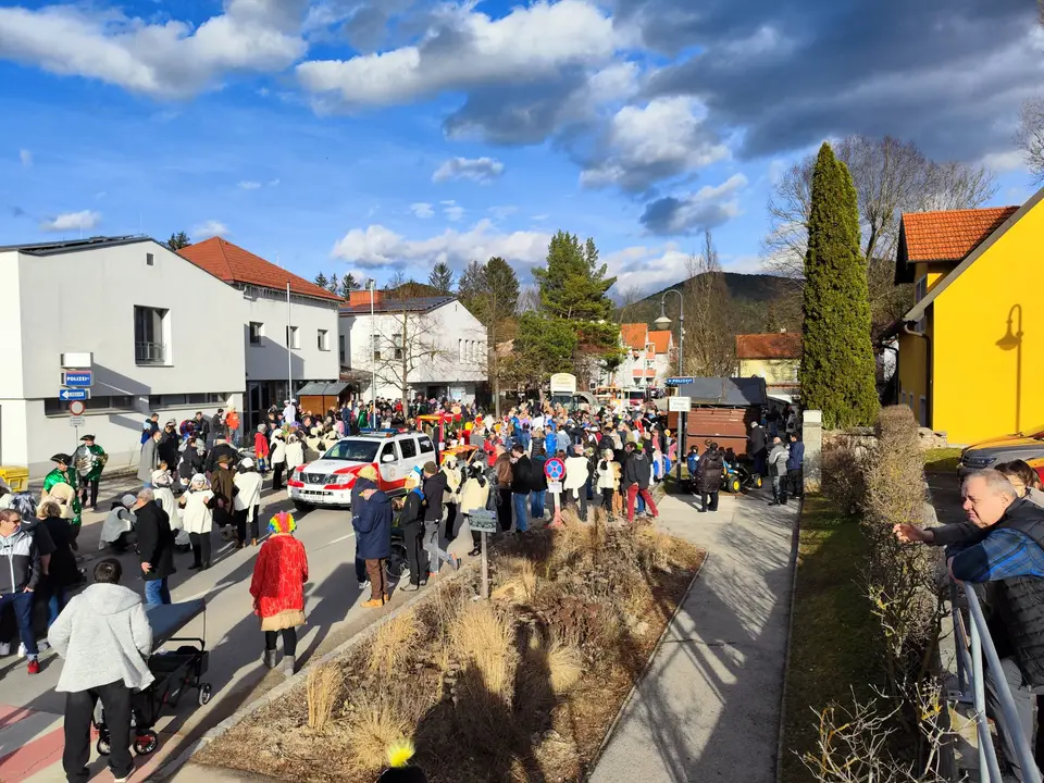 Faschingsumzug – Foto 5 von 6