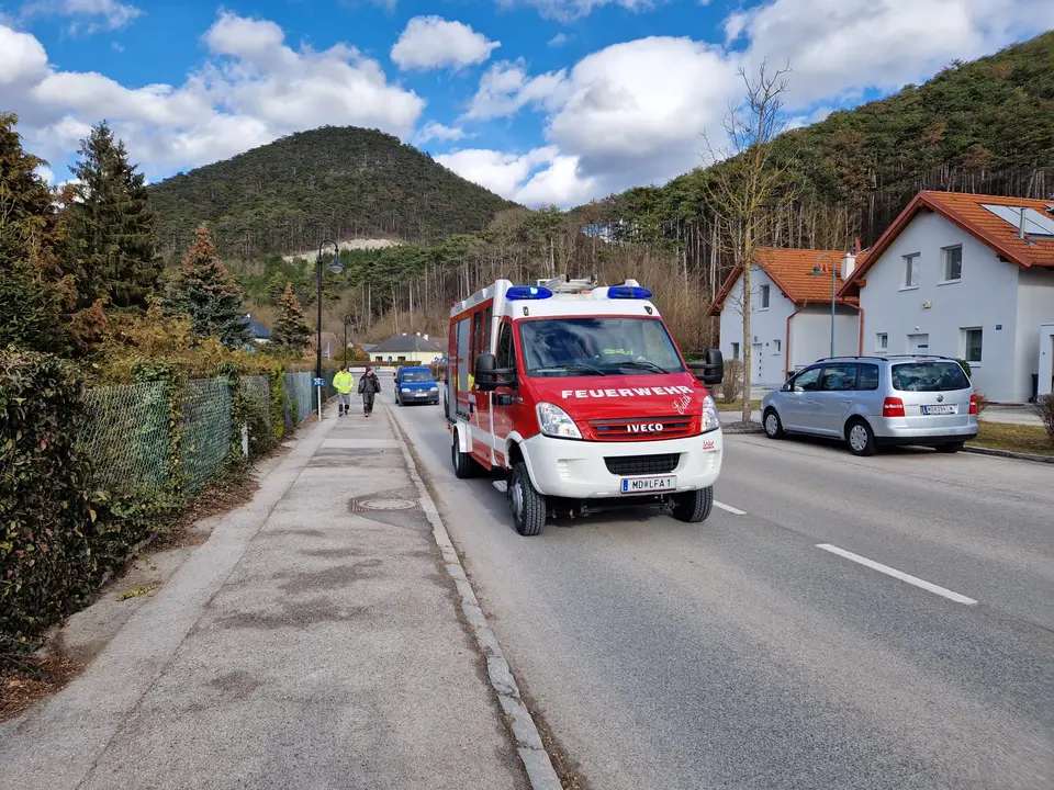 Faschingsumzug – Foto 2 von 6