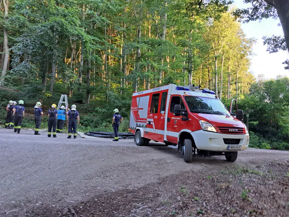 Übung Waldbrandbekämpfung – Foto 4 von 9