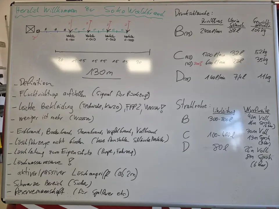 Übung Waldbrandbekämpfung – Foto 3 von 9
